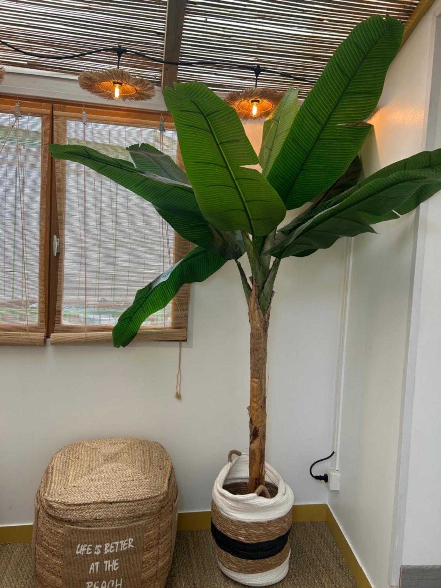 Le Bali By Perpignan Apartman Kültér fotó
